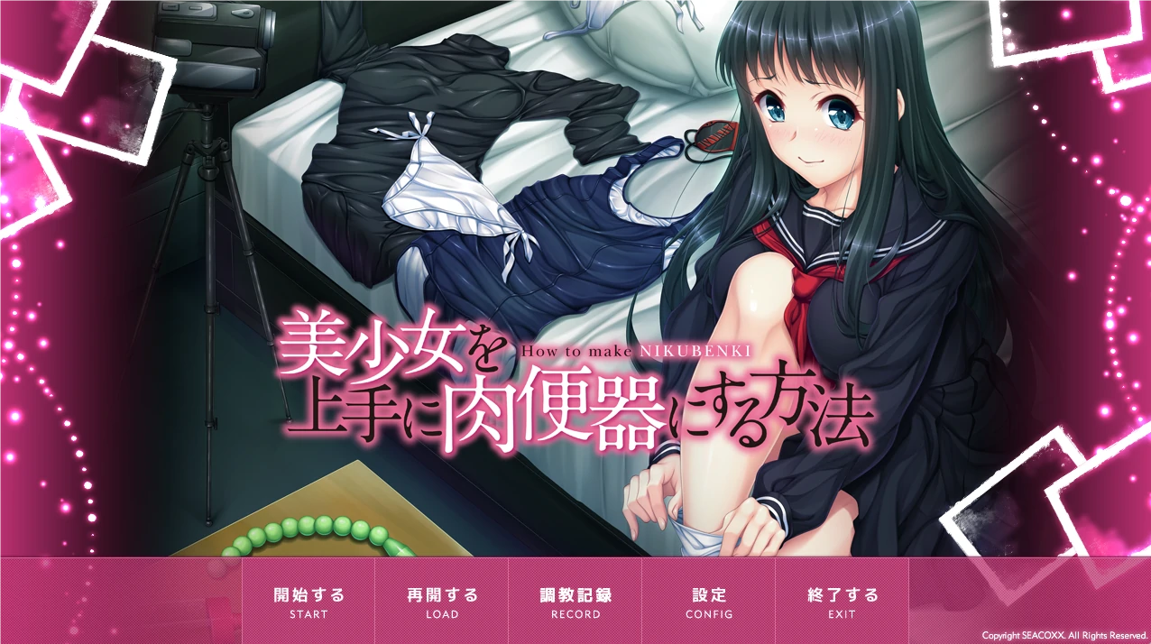 如何巧妙地将美少女变成绒布球 AI汉化版+全CG存档 [新汉化/577M]